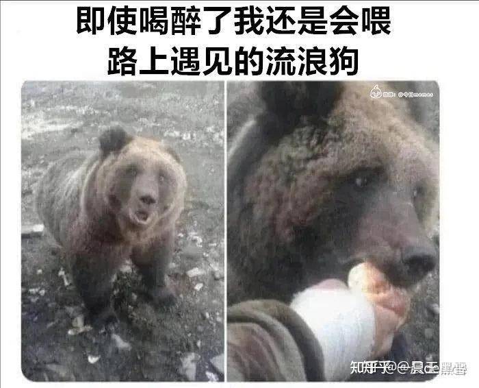 有人能给我讲个笑话吗，快坚持不住了?  第17张