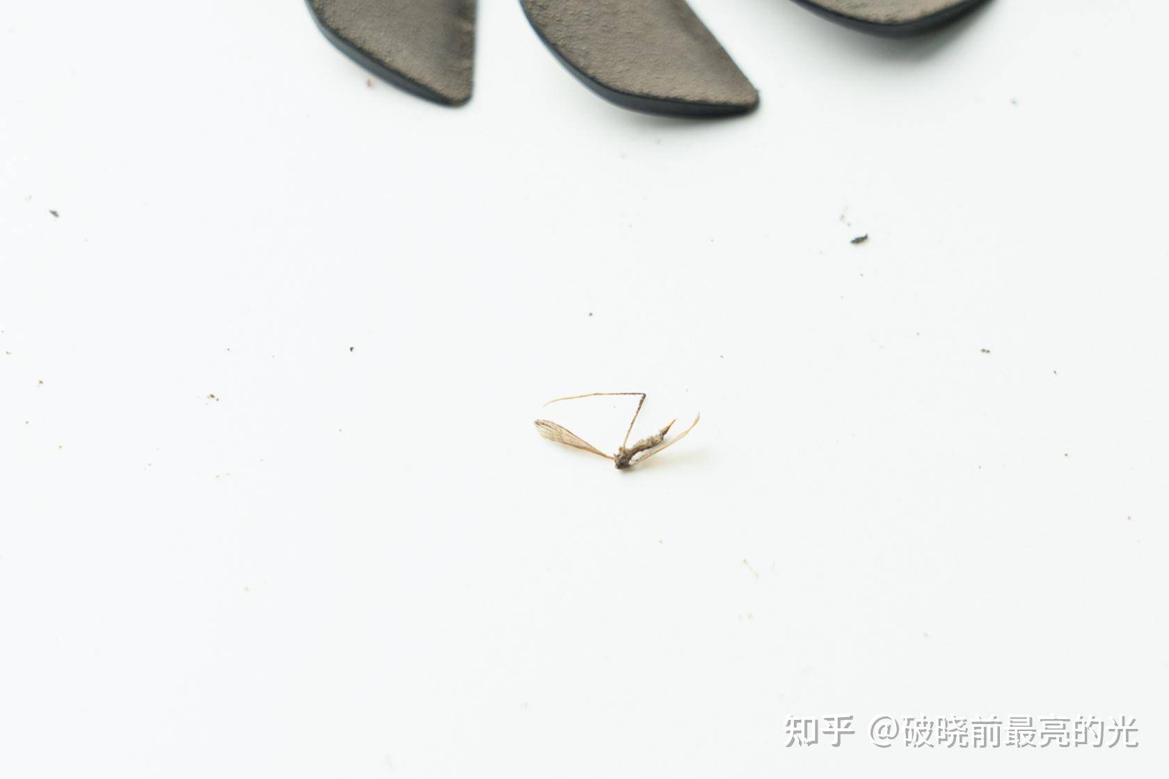 真正懂显卡的人，都选了什么显卡？  第33张