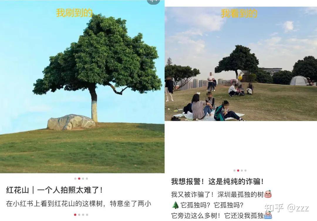 为什么你卸载了小红书？  第34张