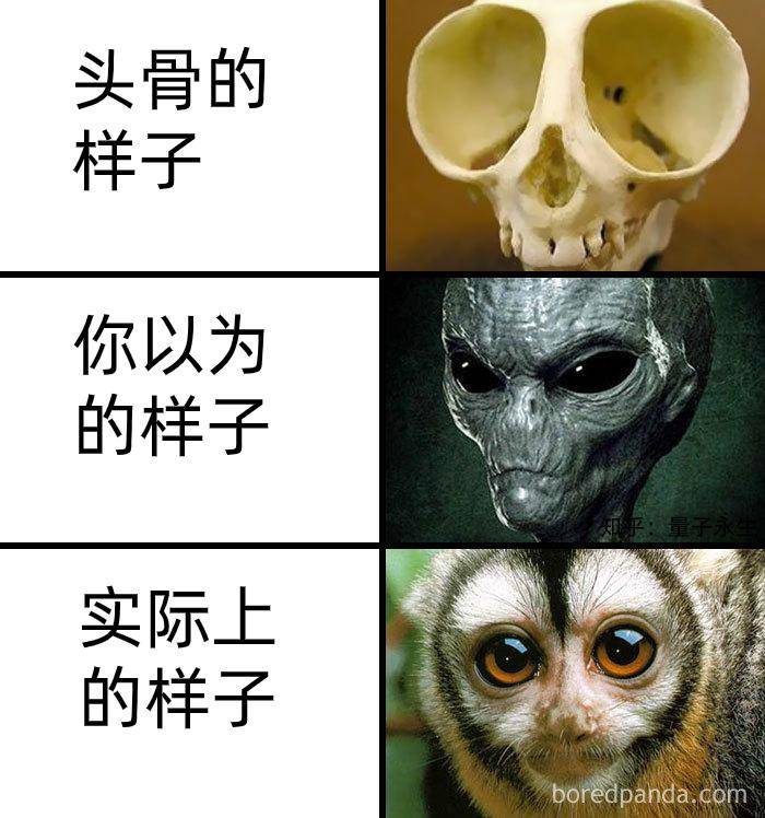为什么古生物都长的比较吓人?  第17张