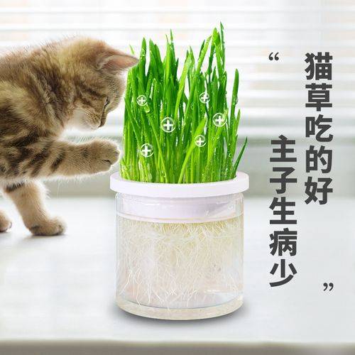 都说「人永远赚不到自己认知之外的钱」，在职场中如何突破这个认知呢？  第1张