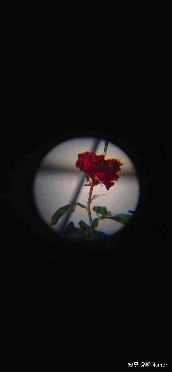 人是怎么废掉的？  第4张