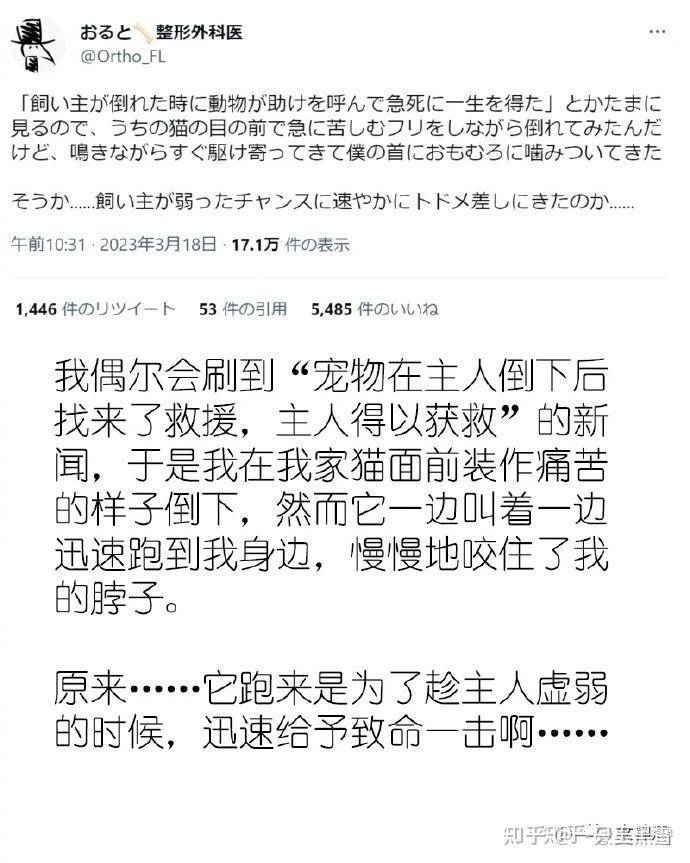 有人能给我讲个笑话吗，快坚持不住了?  第26张