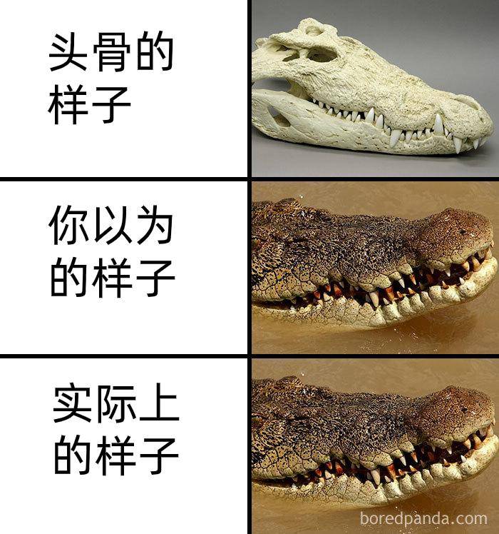 为什么古生物都长的比较吓人?  第26张