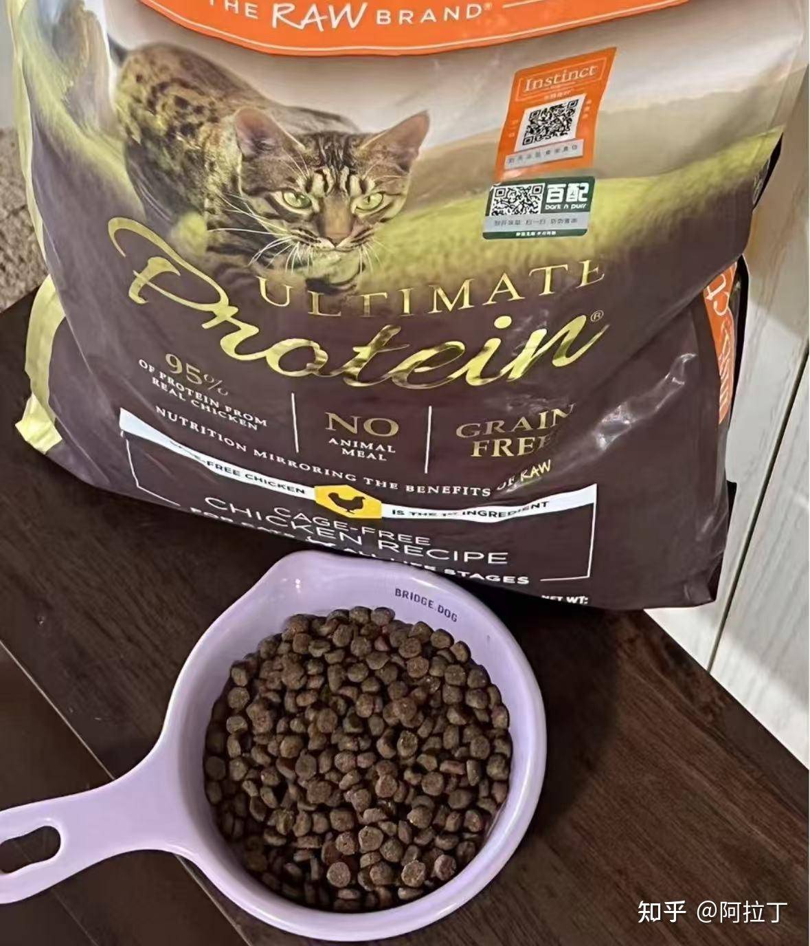 特别好奇，猫一直吃猫粮会不会腻？  第9张