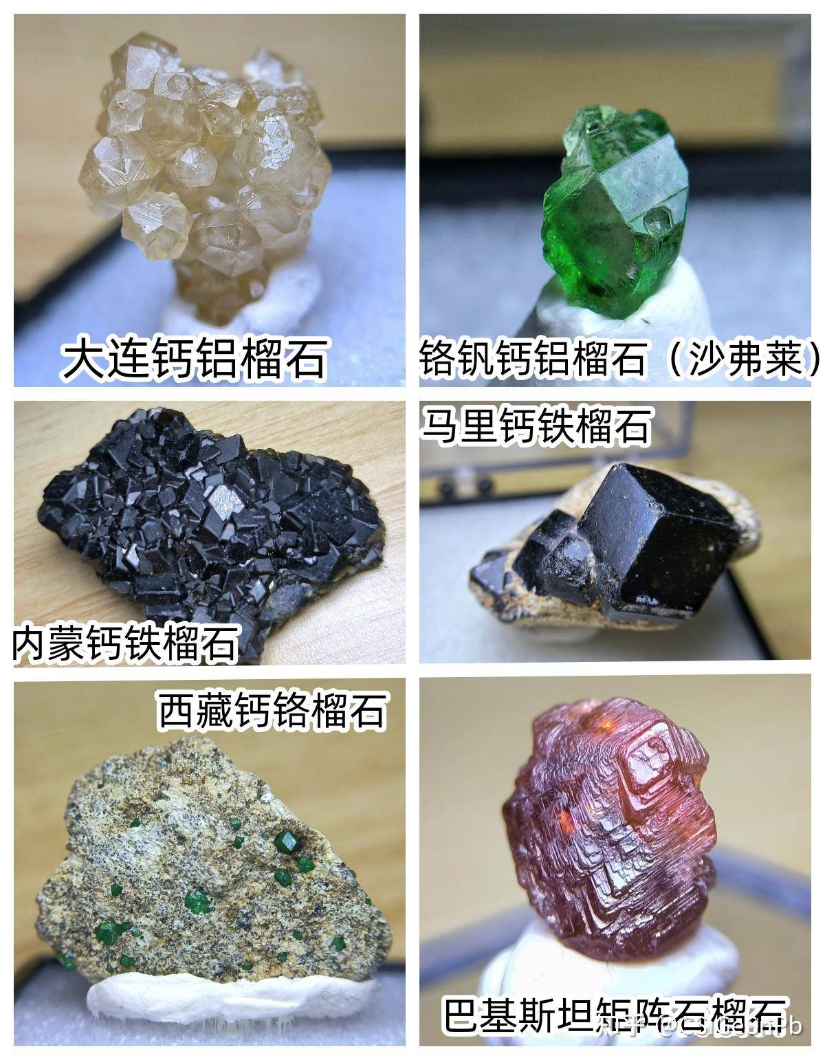 想要奖励学生，想发一些他们没见过的东西，有什么好的选择呢？求助万能的知友？  第24张