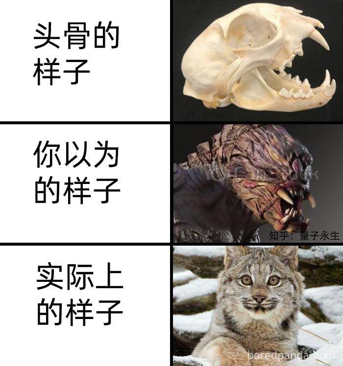 为什么古生物都长的比较吓人?  第18张