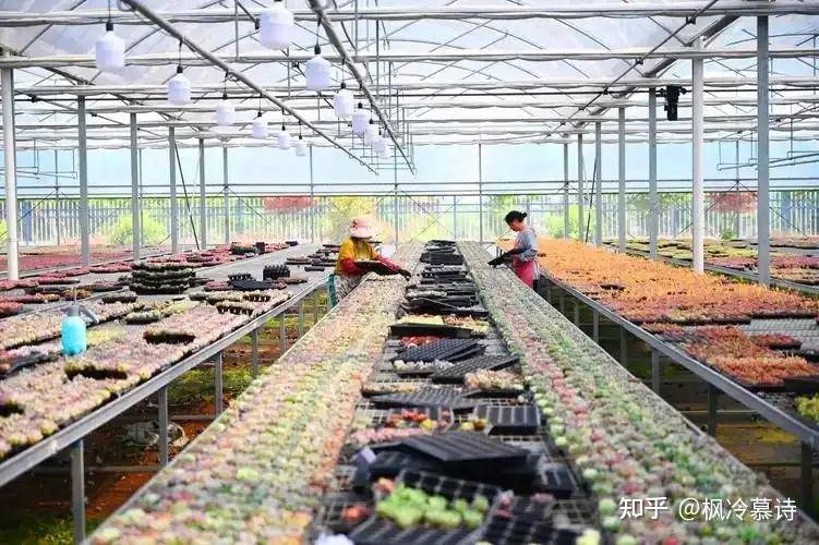 有没有专业人士来解读一下这次的中央一号文件？  第9张