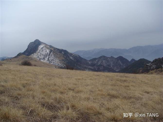 为什么神农架林区深处不允许前往？  第10张