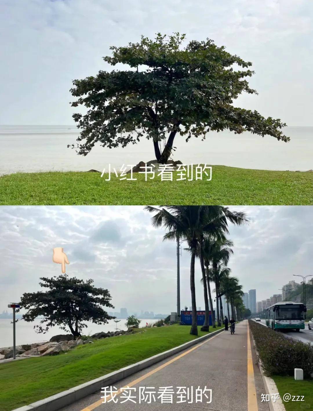 为什么你卸载了小红书？  第2张