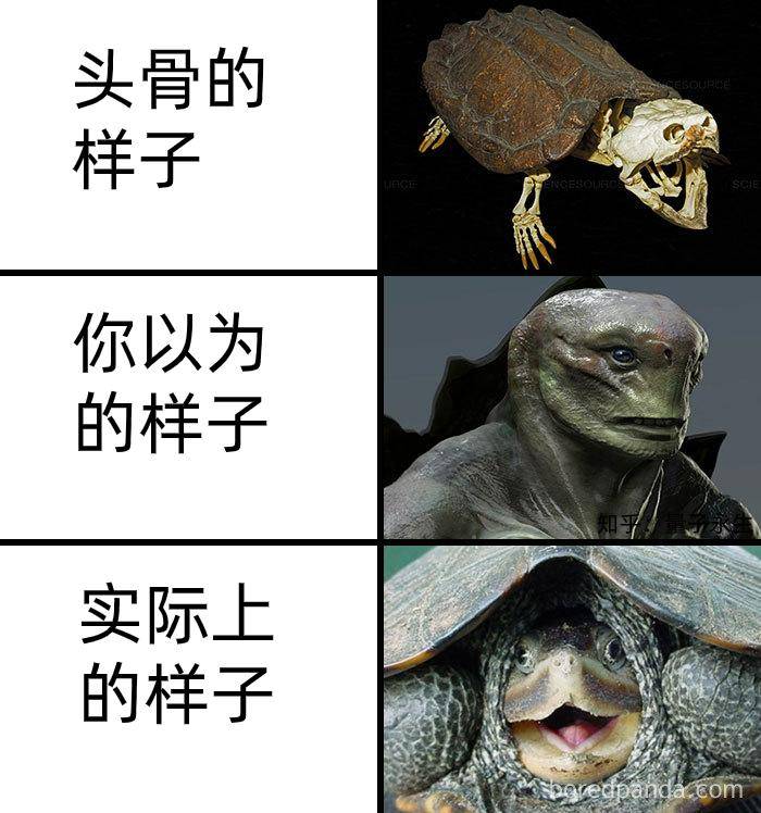 为什么古生物都长的比较吓人?  第20张