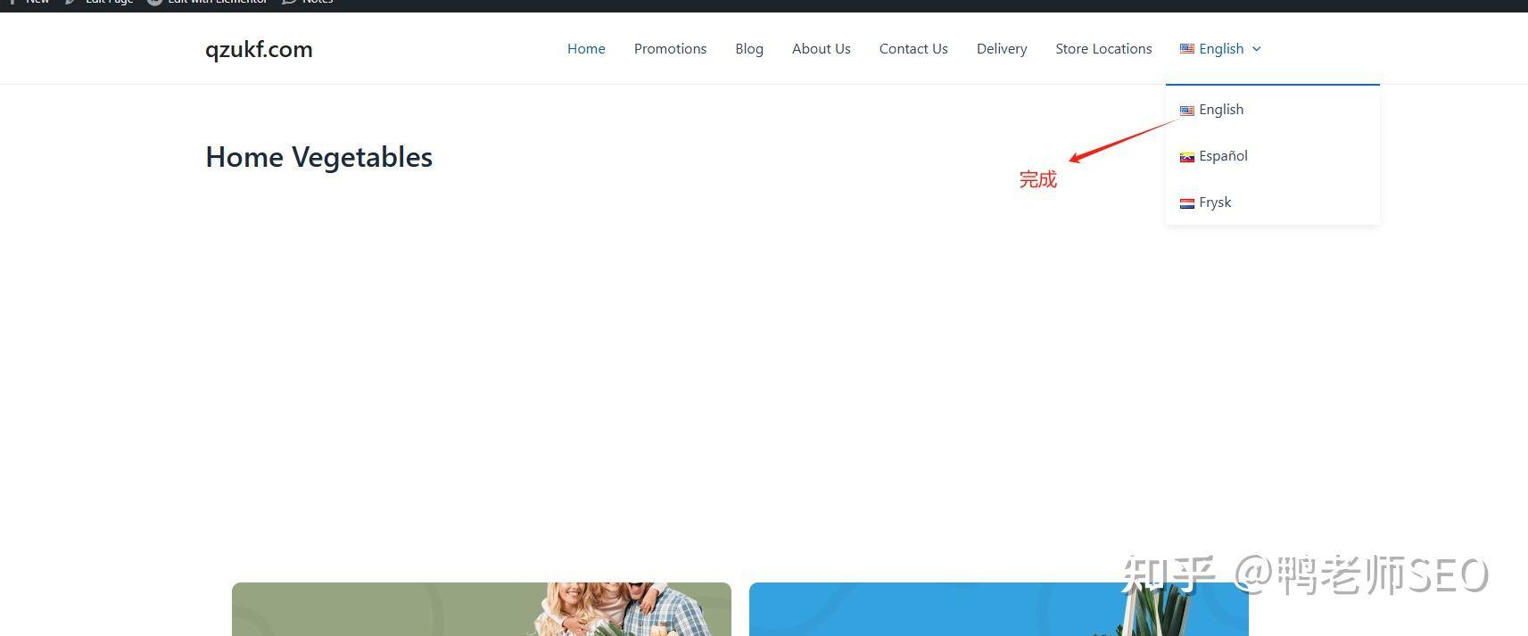 wordpress 如何搭建多语言站点？  第18张