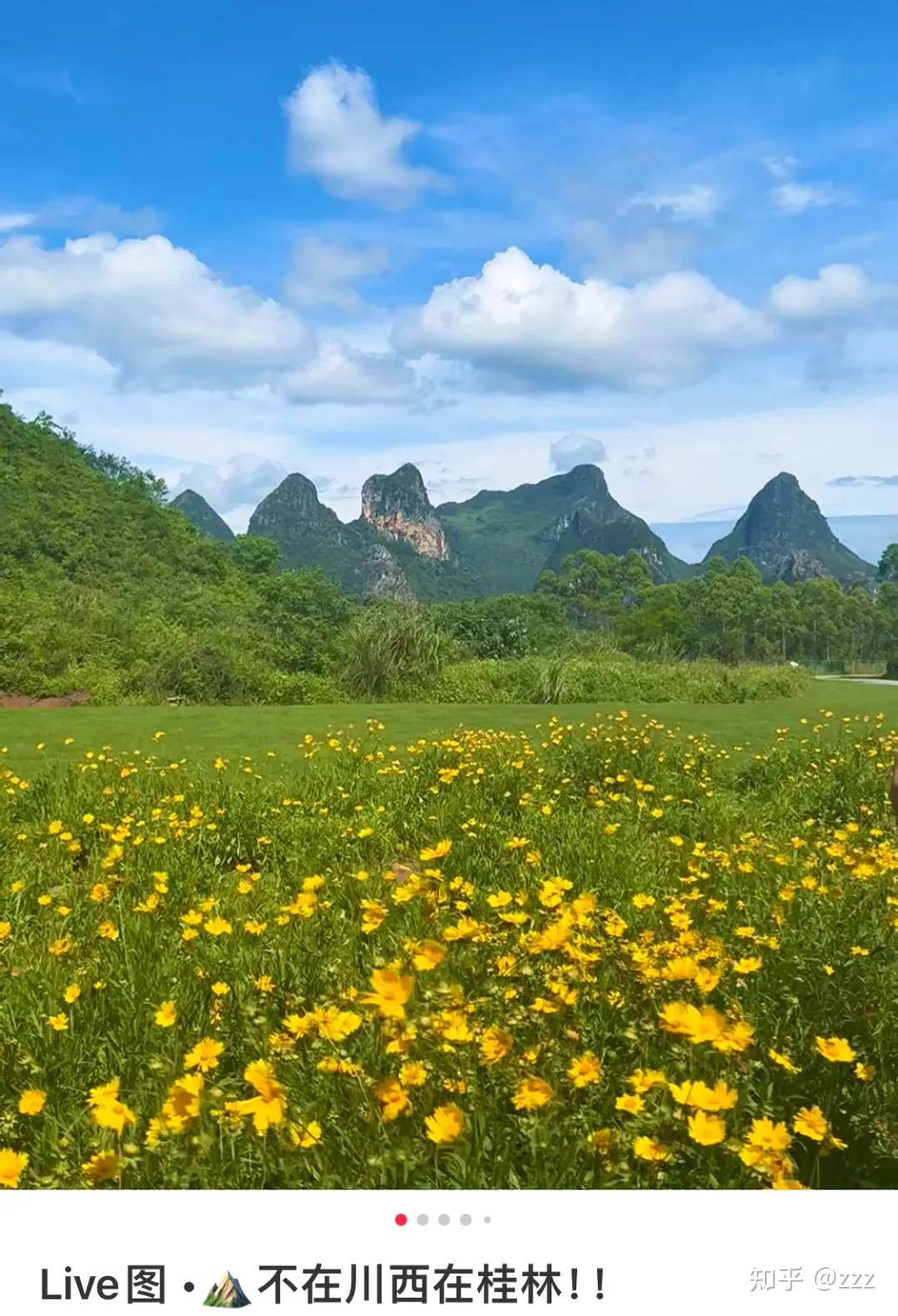 为什么你卸载了小红书？  第9张