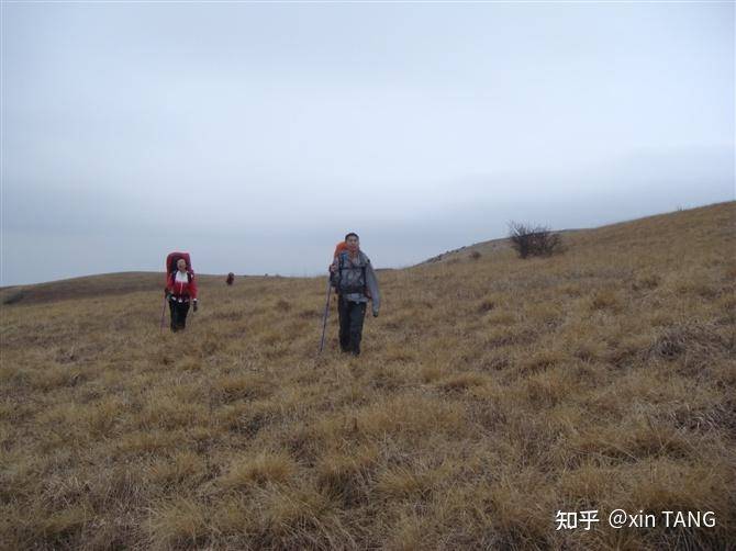 为什么神农架林区深处不允许前往？  第11张