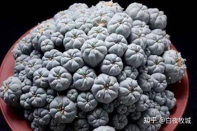 为什么蹭课会被老师赶出来？  第1张