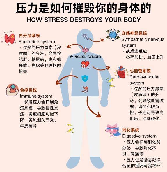 心理问题会导致大脑结构的改变吗？  第2张