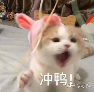 注册会计师考试（CPA）一年考几科比较合适，考试科目应该如何搭配？  第3张