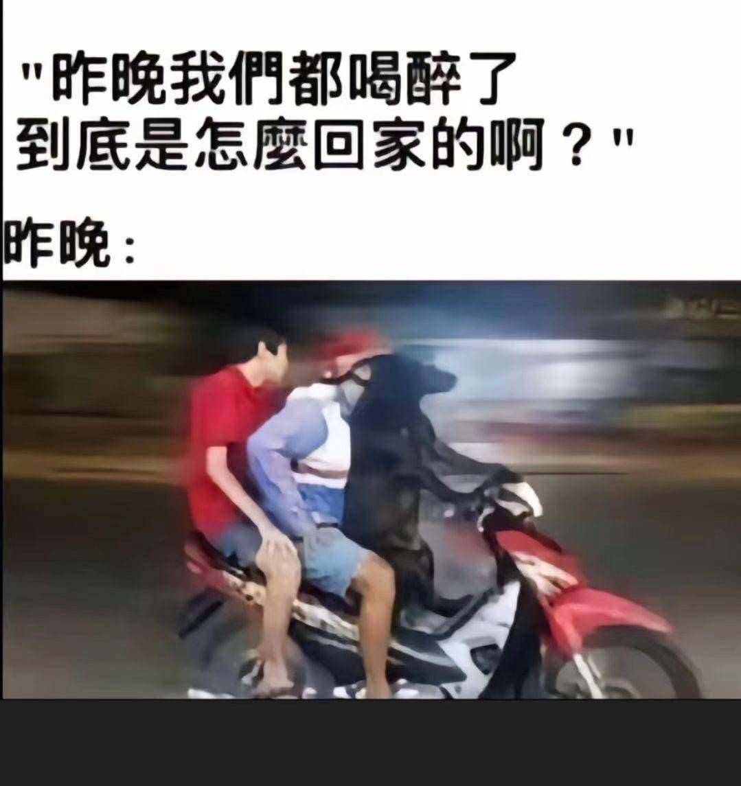 有没有什么笑死人不偿命的图片？  第19张