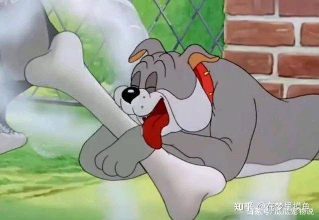 百度贴吧有哪些有意思的吧？  第182张