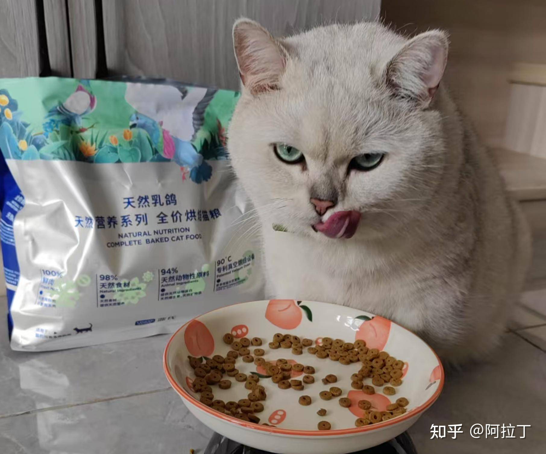 特别好奇，猫一直吃猫粮会不会腻？  第6张