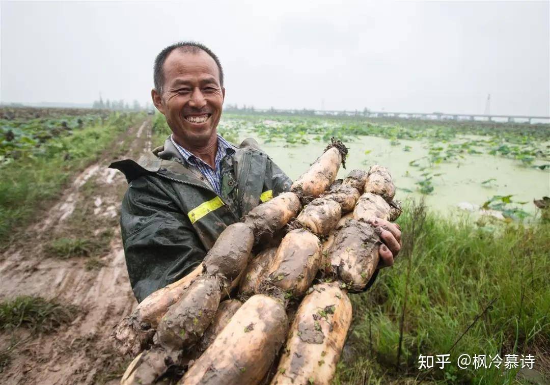 有没有专业人士来解读一下这次的中央一号文件？  第7张