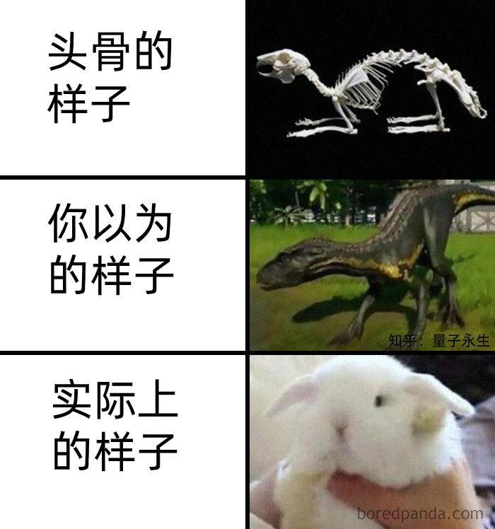 为什么古生物都长的比较吓人?  第14张