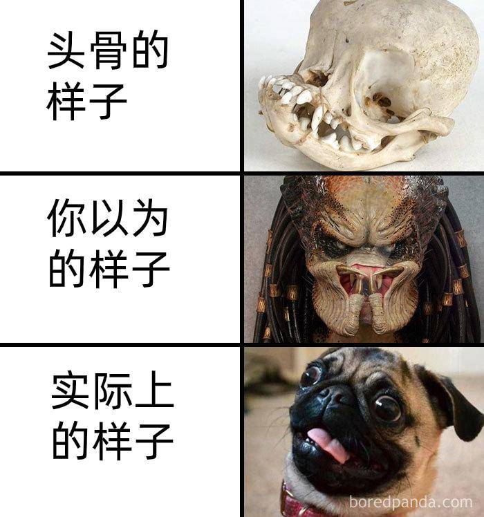 为什么古生物都长的比较吓人?  第4张