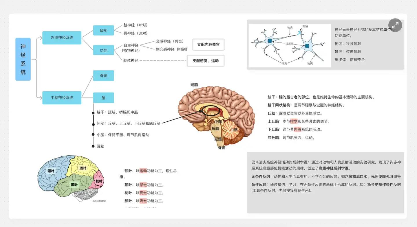 哪些软件可以像白板一样在Windows上书写呢？  第2张
