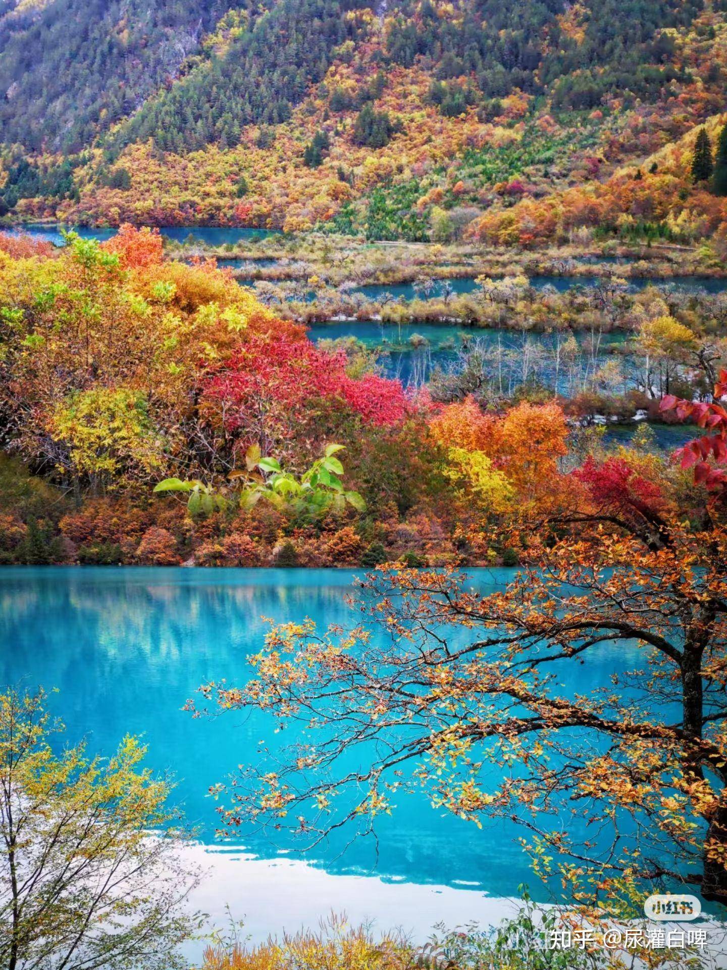 川西和瑞士的差距在哪里？  第3张
