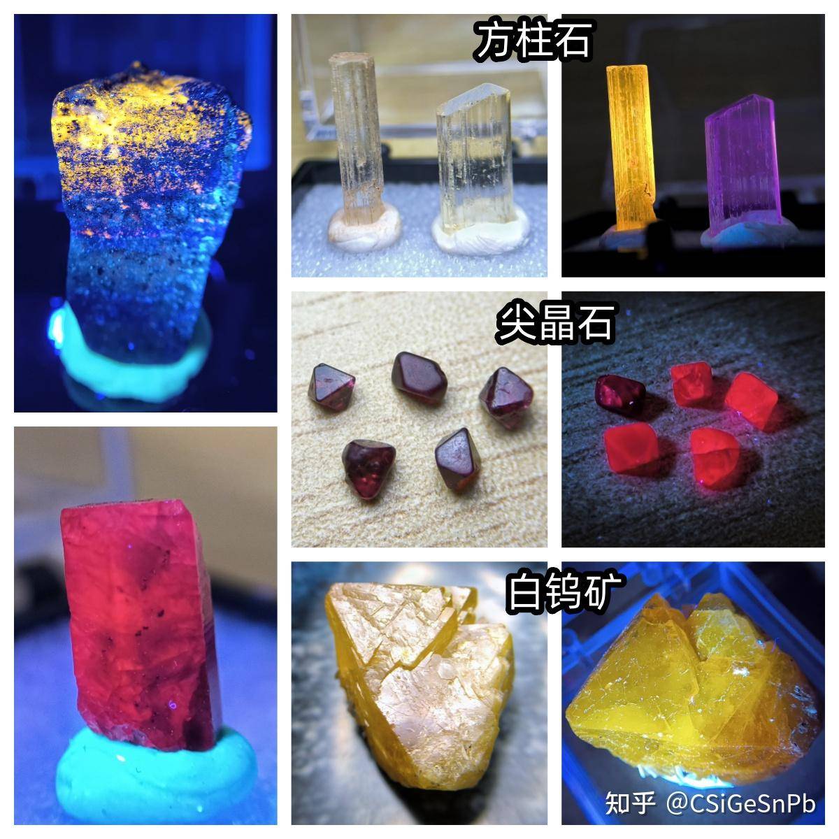 想要奖励学生，想发一些他们没见过的东西，有什么好的选择呢？求助万能的知友？  第26张