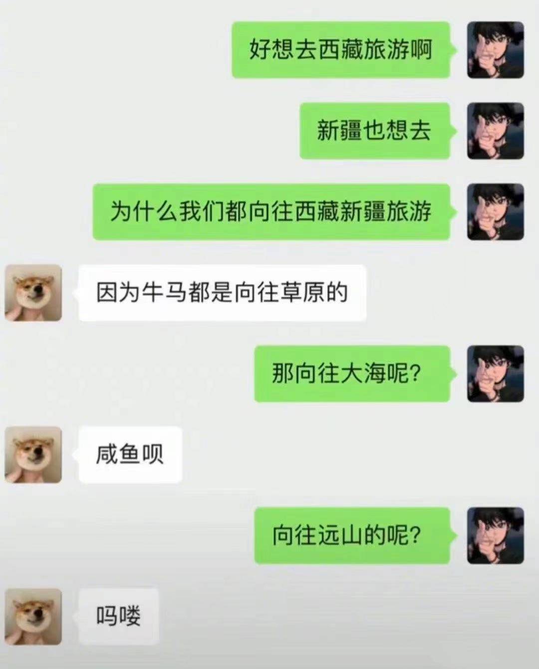 有没有什么笑死人不偿命的图片？  第15张
