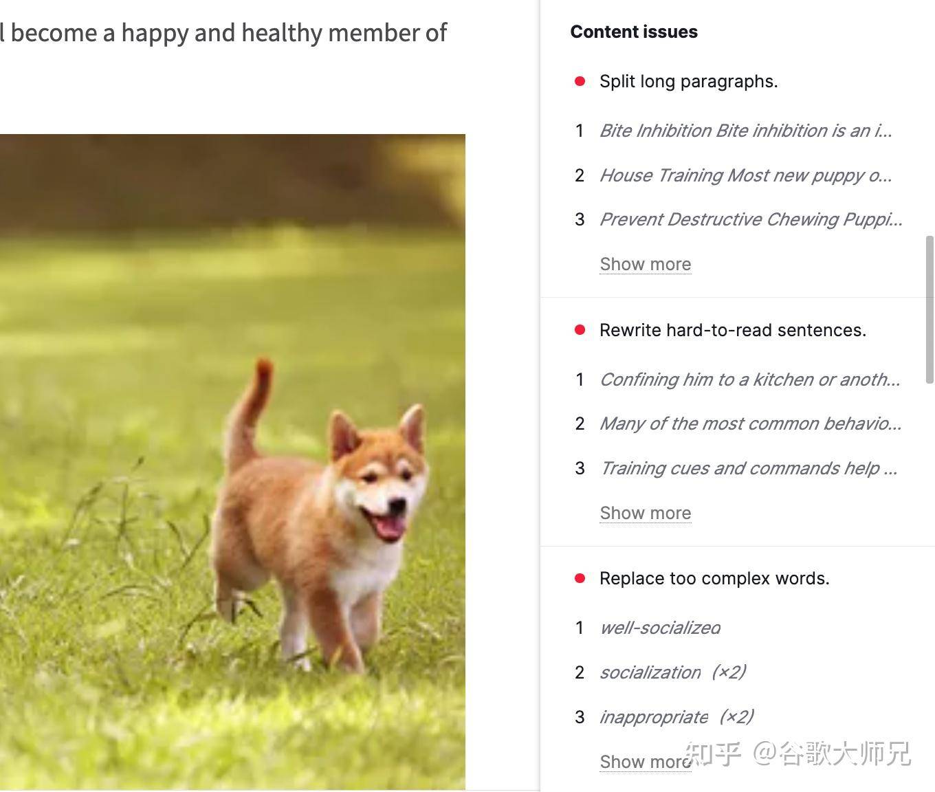 WordPress网站SEO优化怎么做？  第39张