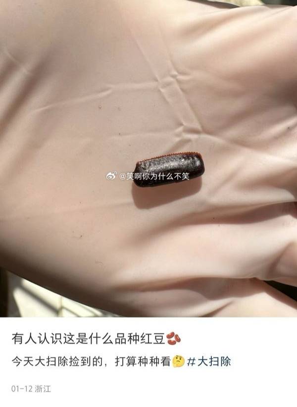 有哪些看了憋不住笑的图片?  第26张