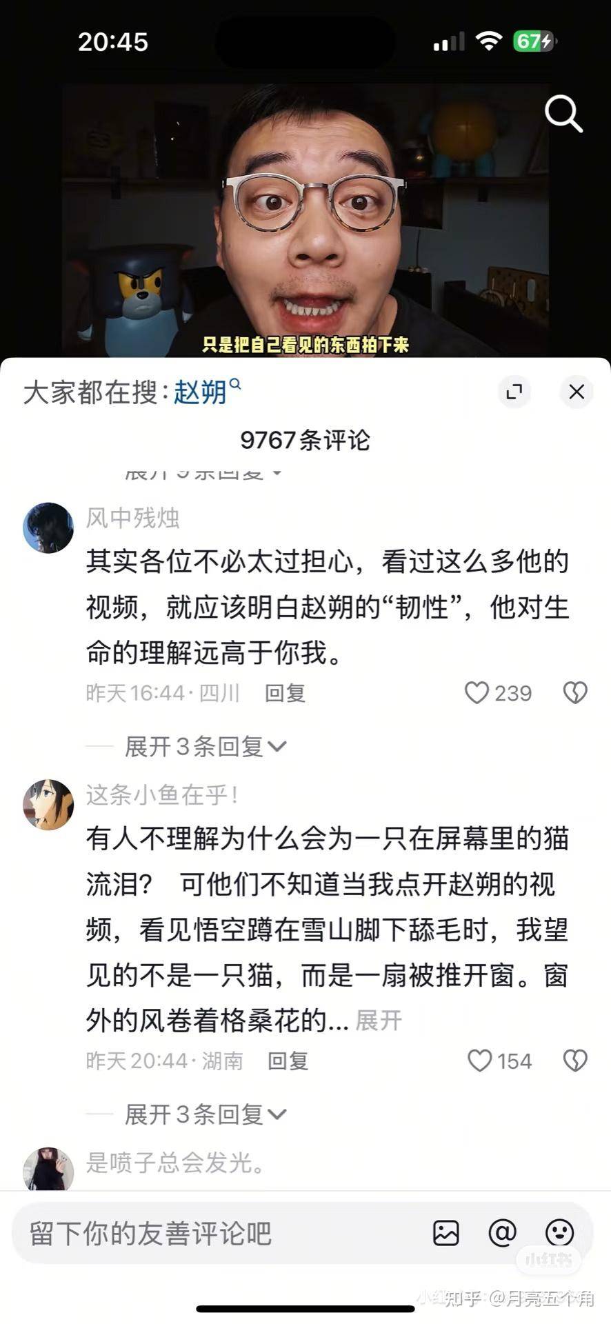如何看待小猫悟空突然出车祸长眠?  第1张
