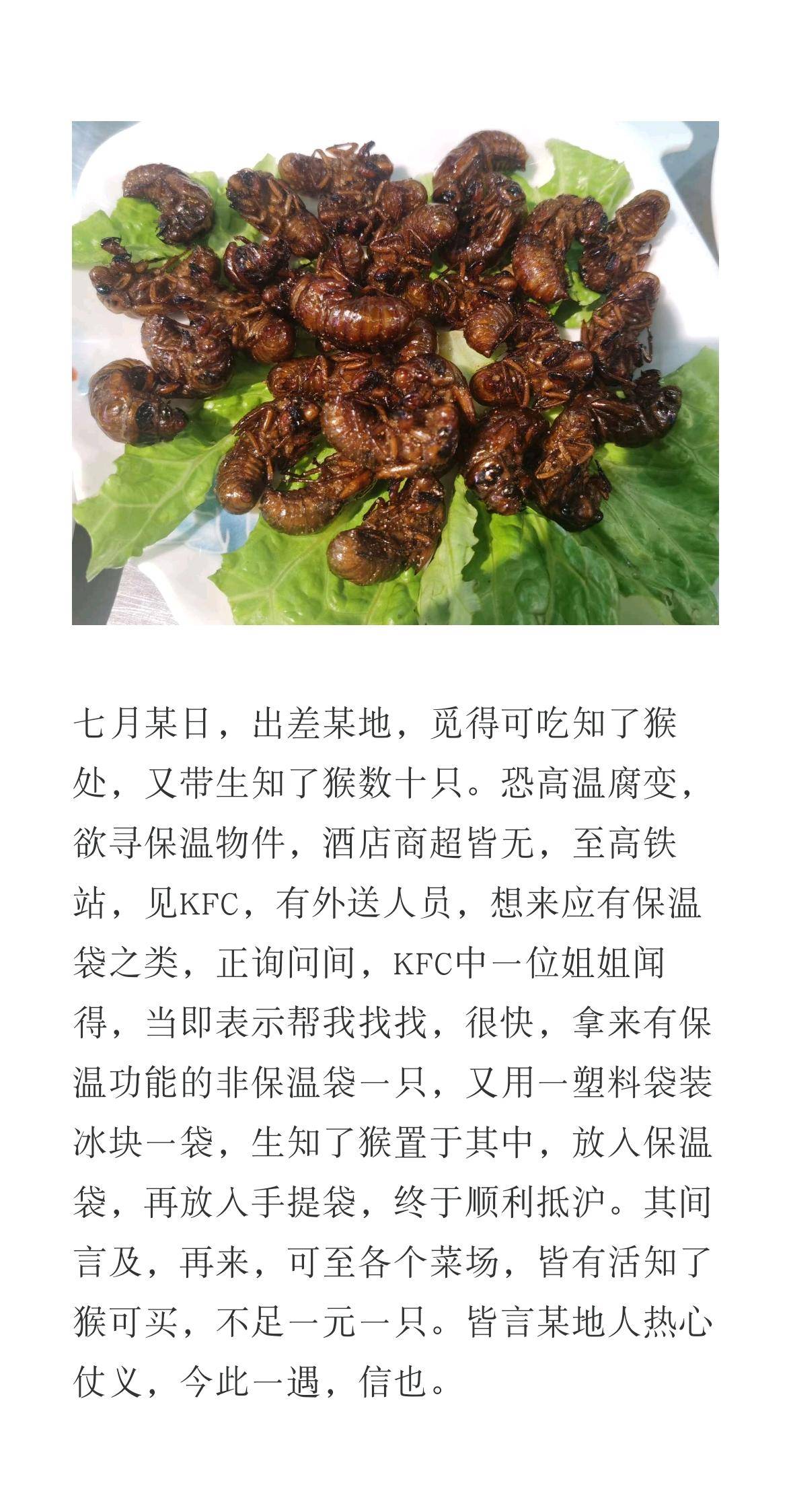 有没有什么简洁的写日记随笔的软件?  第8张