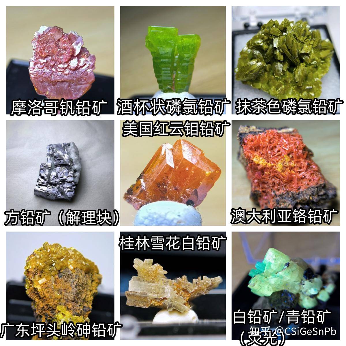 想要奖励学生，想发一些他们没见过的东西，有什么好的选择呢？求助万能的知友？  第27张