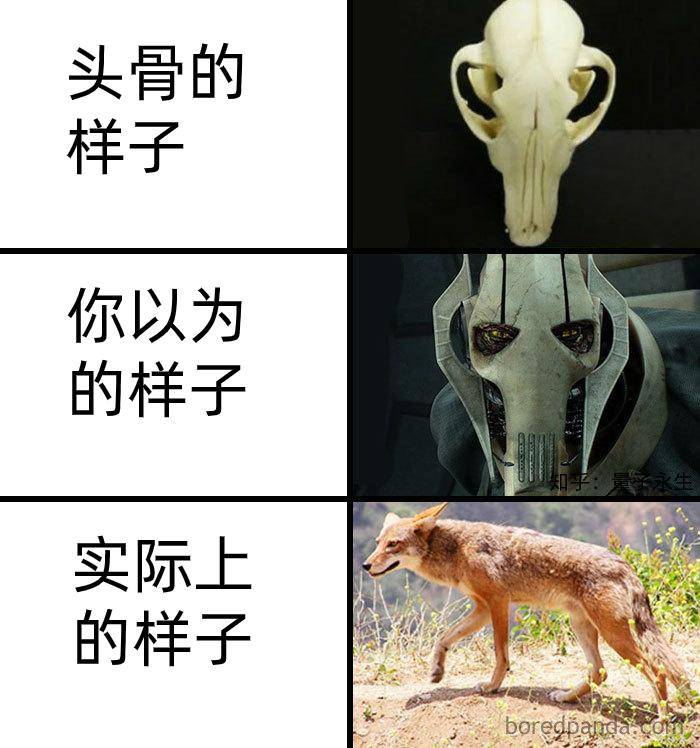 为什么古生物都长的比较吓人?  第7张