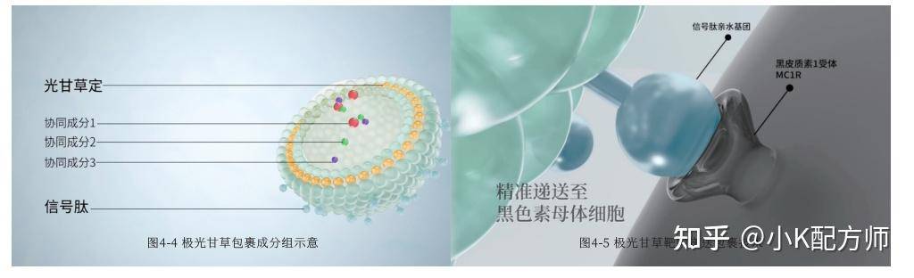 如何正确挑选护肤品以及看懂成分？  第6张