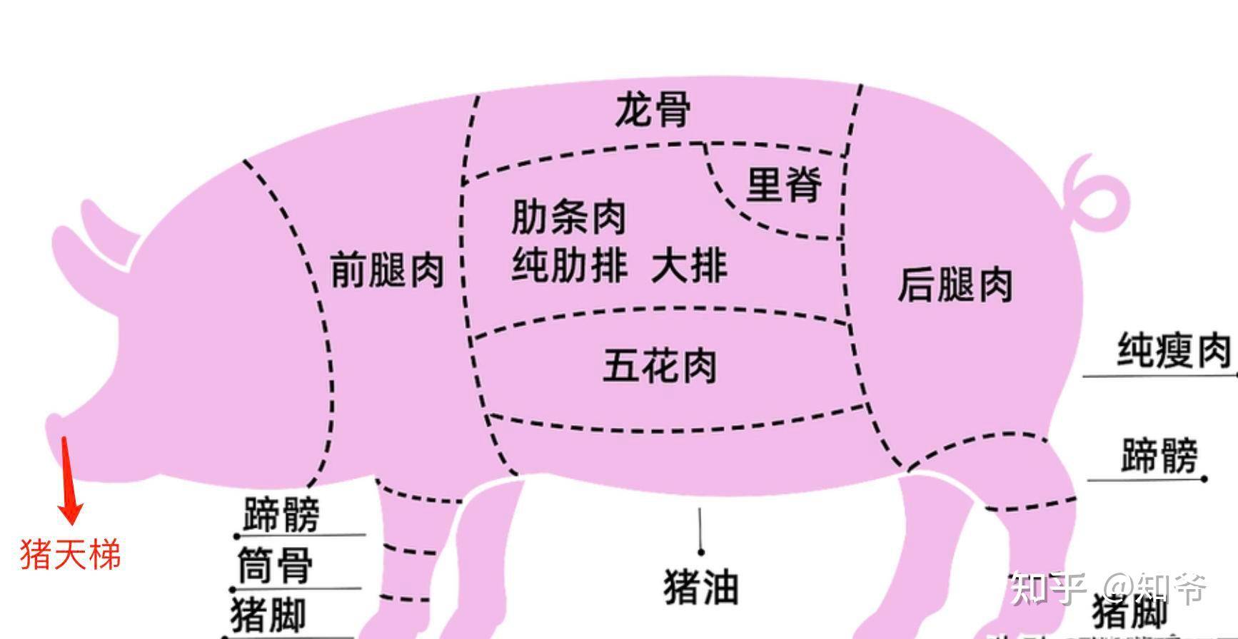 猪哪个部位的肉最好吃？  第2张