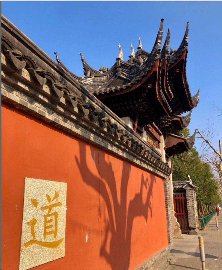 有哪些看了憋不住笑的图片?  第21张