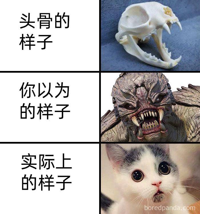 为什么古生物都长的比较吓人?  第5张