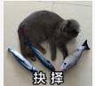 网上的论文辅导靠谱嘛?  第4张