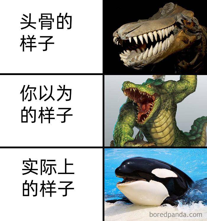 为什么古生物都长的比较吓人?  第1张