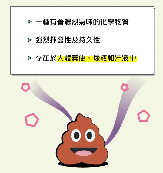 把全世界的粪便集中排放到太平洋的正中心，会发生什么事情？  第8张