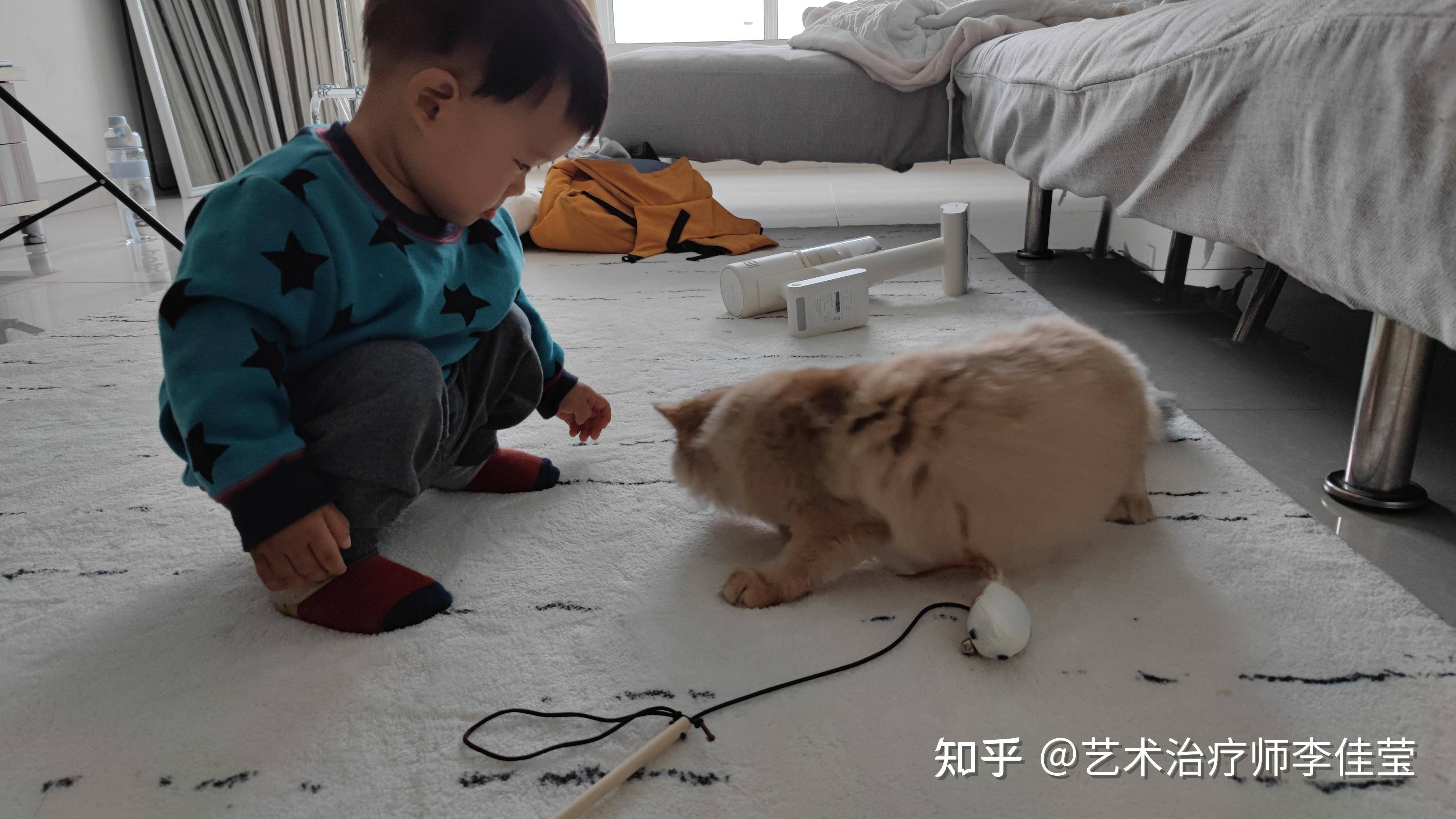 家里有吸尘器的朋友说说，买吸尘器到底有用没有？  第2张