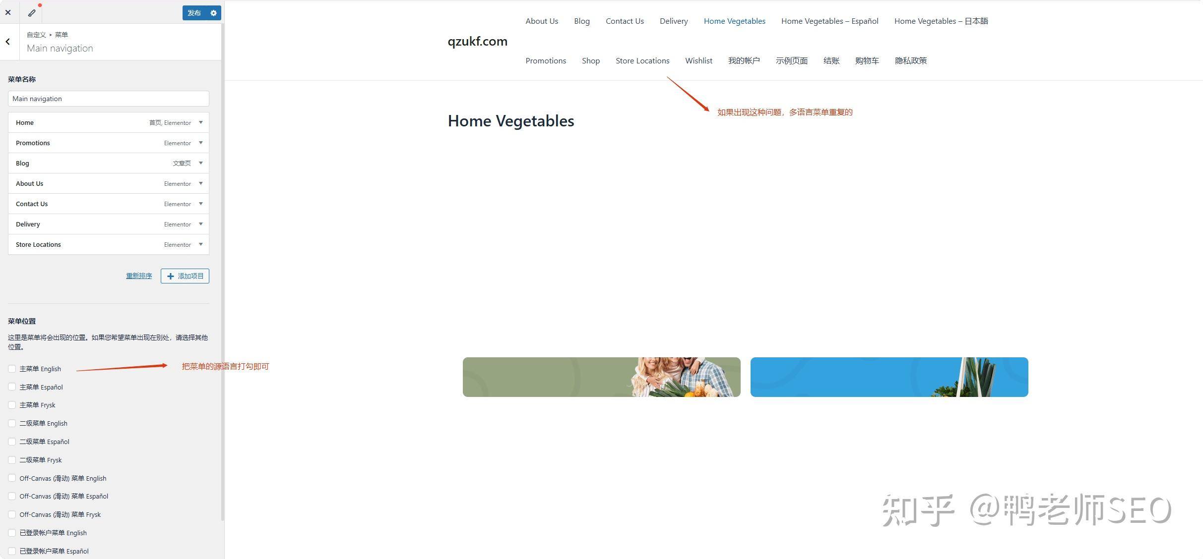 wordpress 如何搭建多语言站点？  第19张