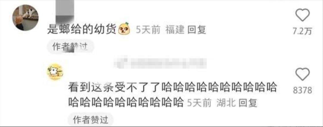 有哪些看了憋不住笑的图片?  第27张