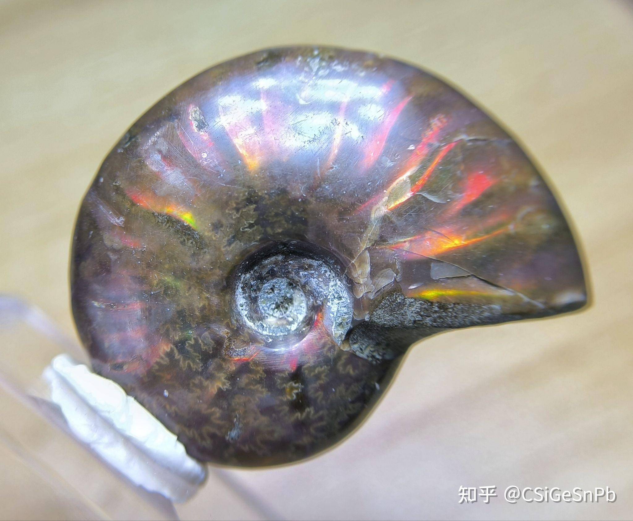 想要奖励学生，想发一些他们没见过的东西，有什么好的选择呢？求助万能的知友？  第6张