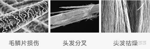 徕芬吹风机怎么样?  第2张