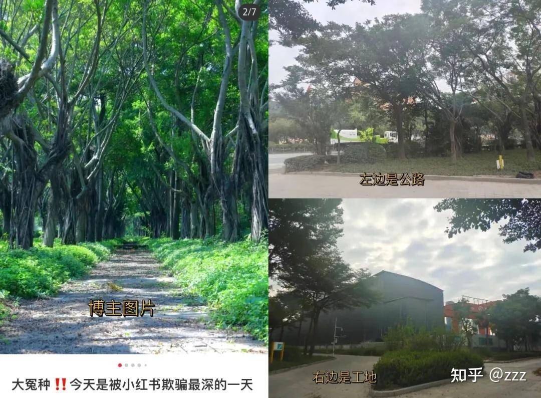为什么你卸载了小红书？  第17张